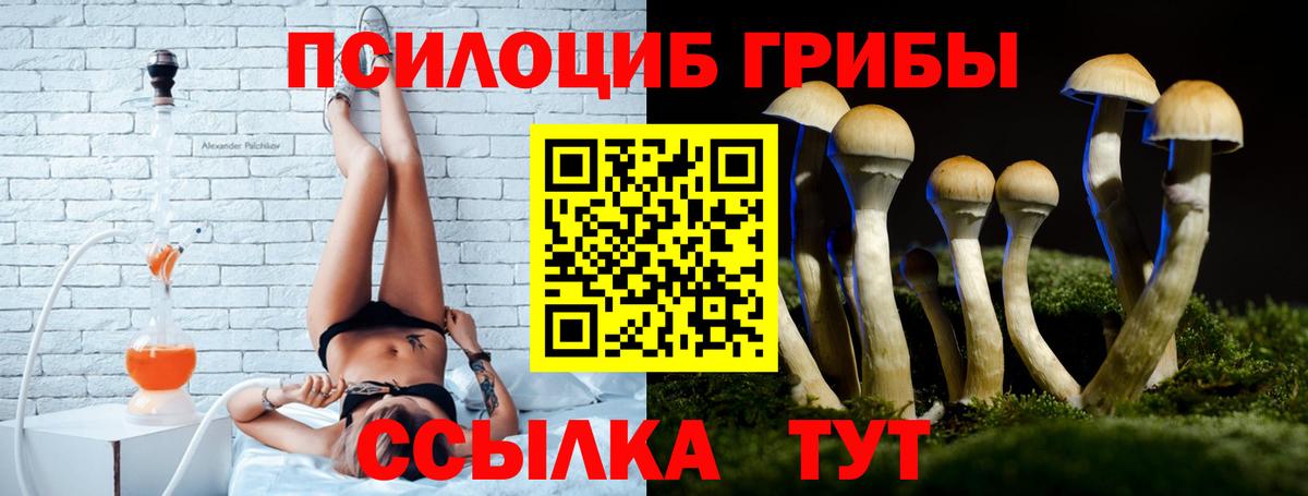 Кропоткин  как найти наркотики  Вход с VPN  Псилоцибиновые грибы мухоморы 
